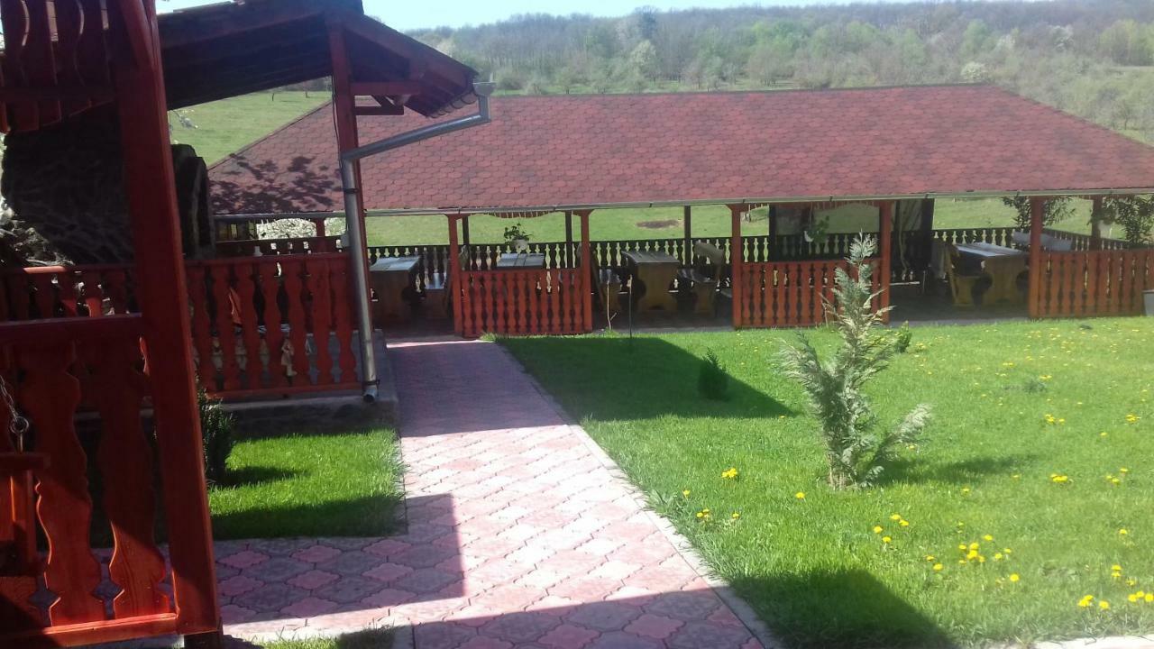 Casa Leonardo 호텔 Haţeg 외부 사진