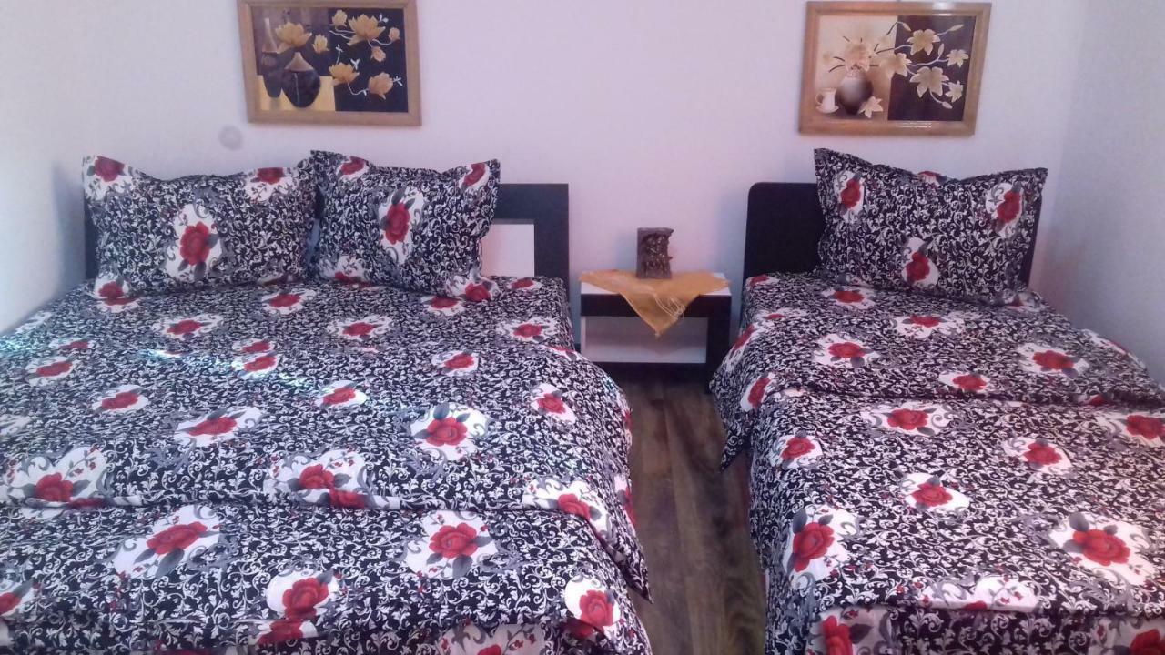 Casa Leonardo 호텔 Haţeg 외부 사진