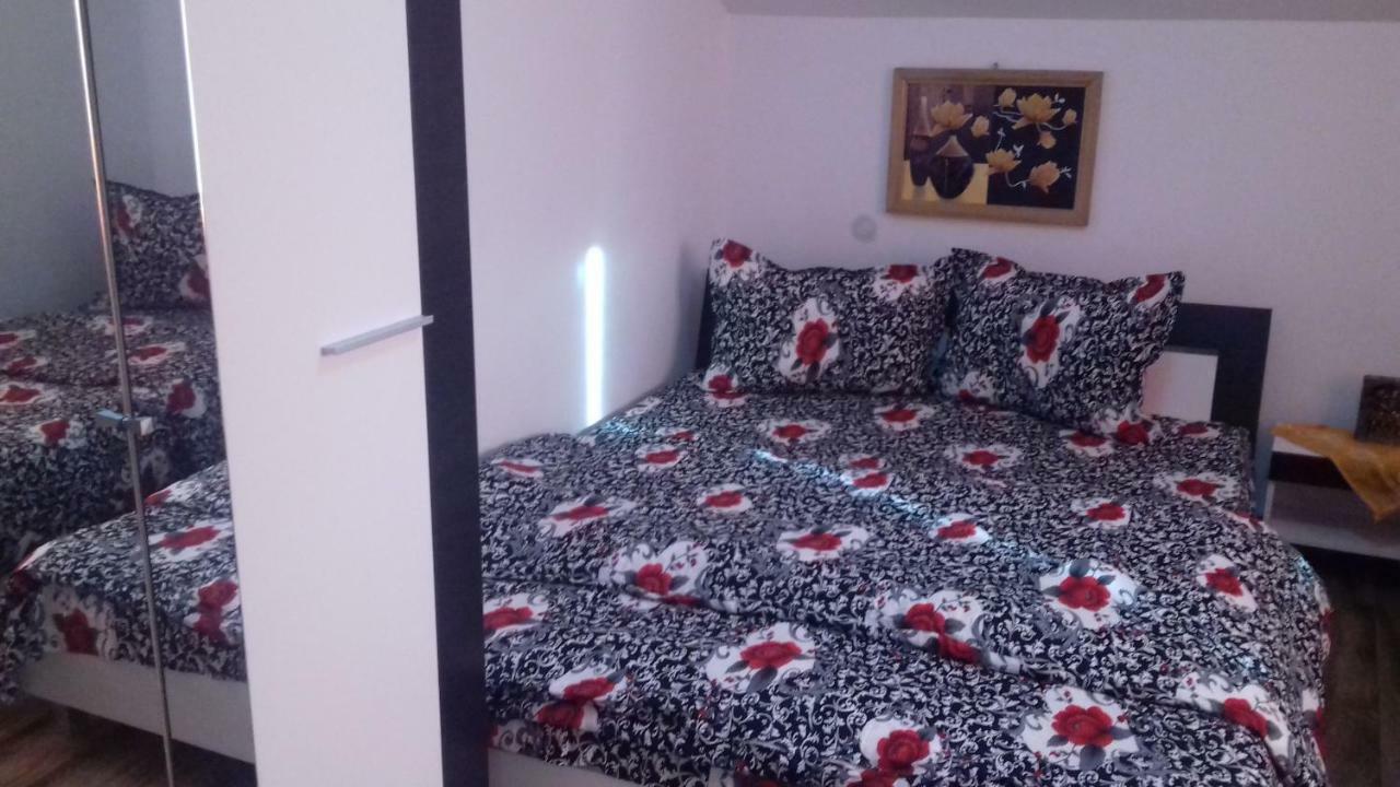 Casa Leonardo 호텔 Haţeg 외부 사진