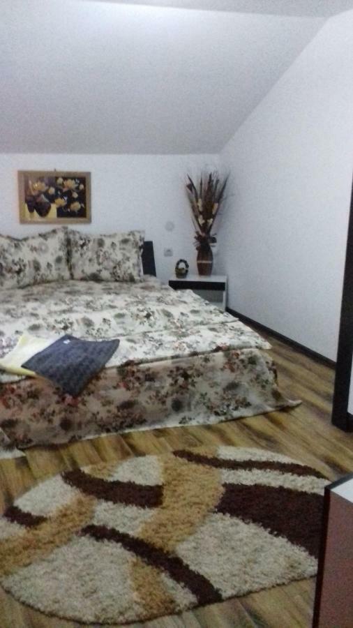 Casa Leonardo 호텔 Haţeg 외부 사진